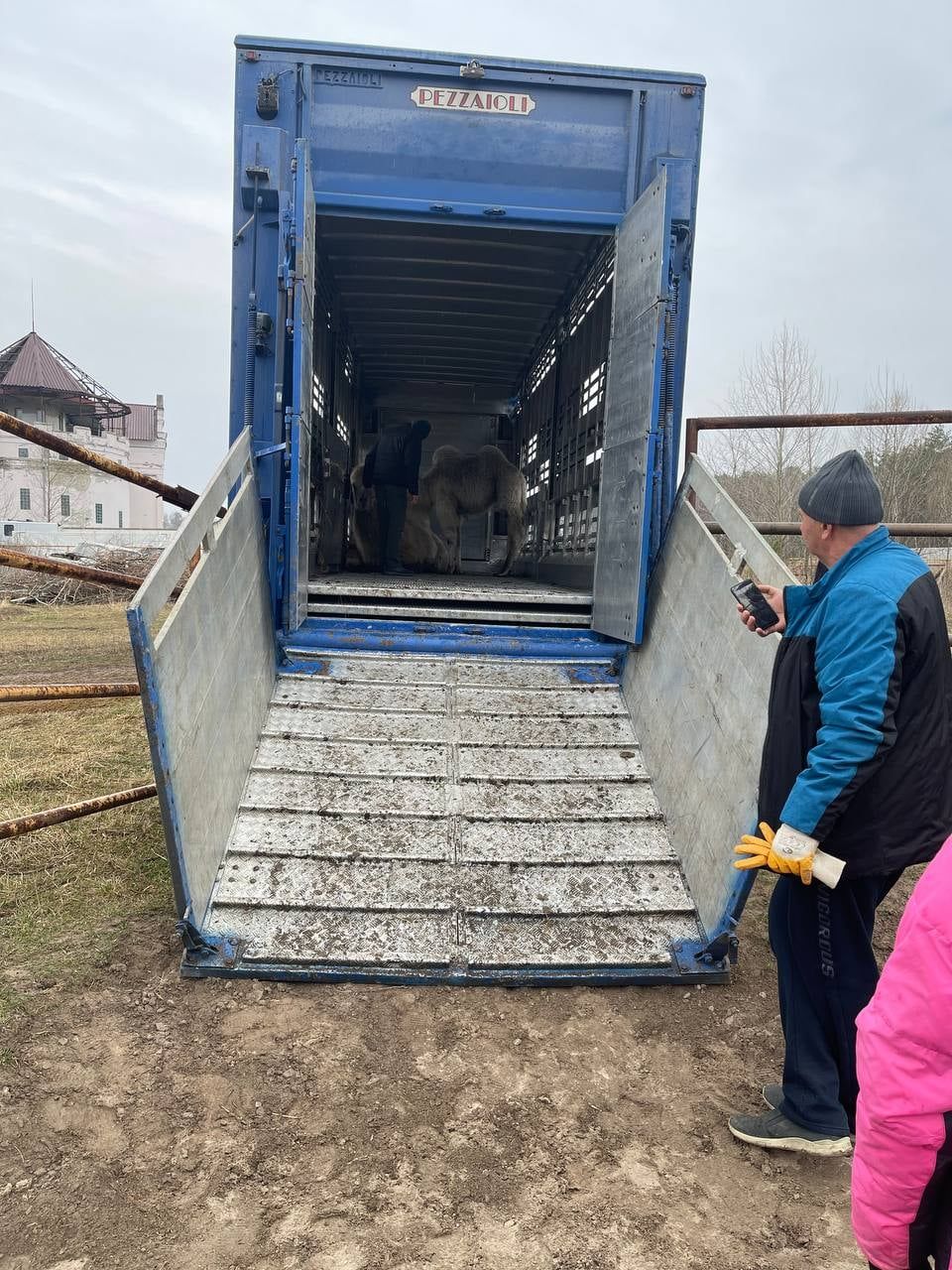 Як в Україні під час війни рятують тварин | Ясногородська страусина ферма 3