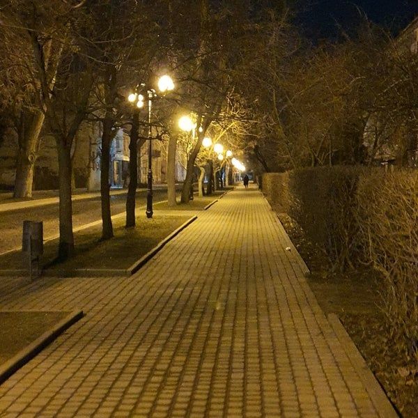 Міський голова привідкрив завісу, що передбачає озеленення Коломиї 1