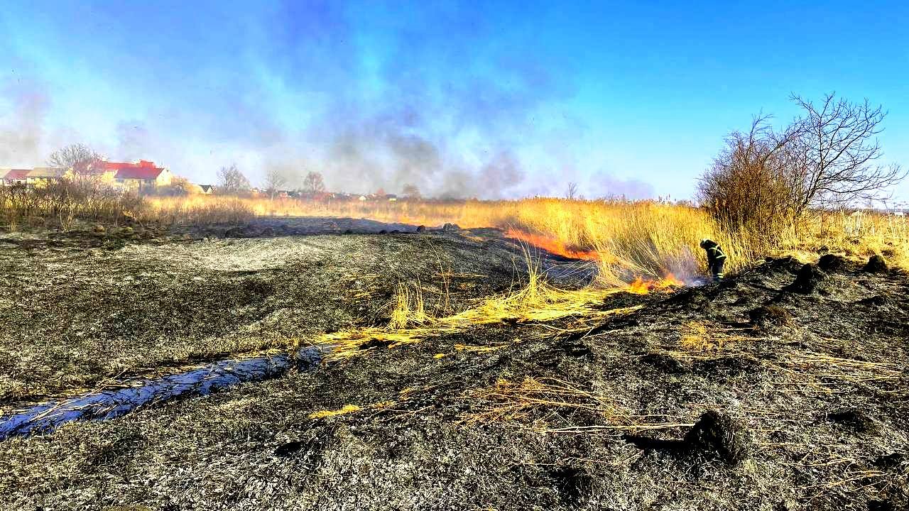 Ігри з вогнем: як палії трави перетворилися на диверсантів