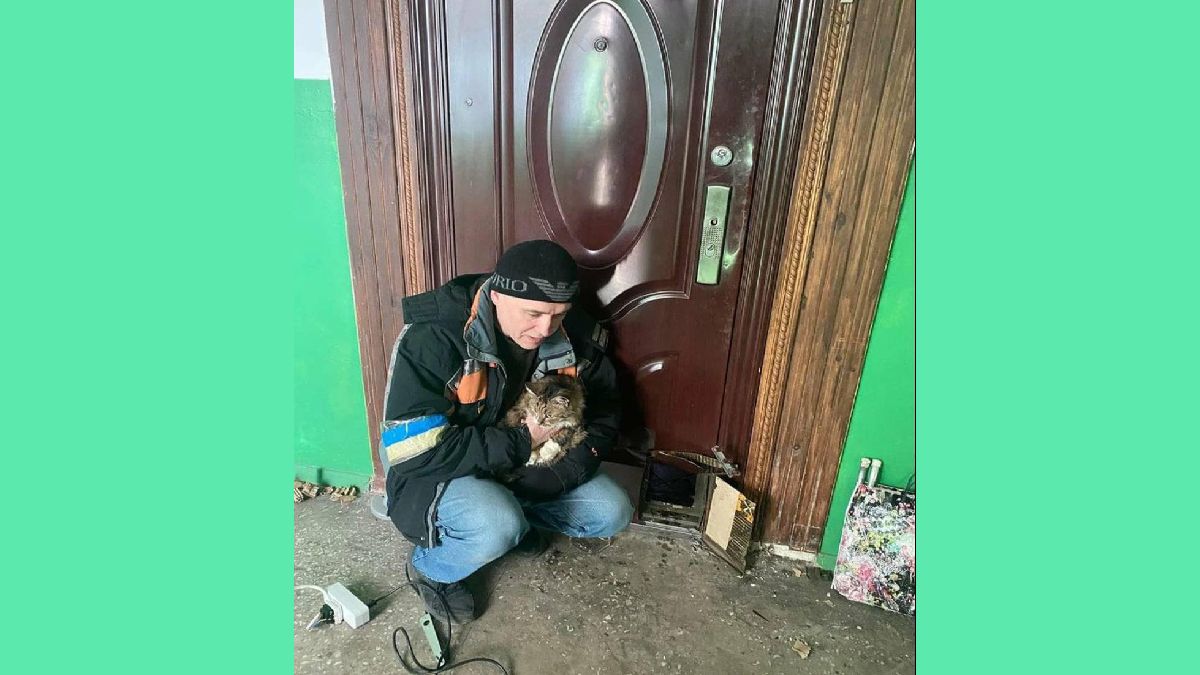 Як допомогти замкненій в квартирі тварині