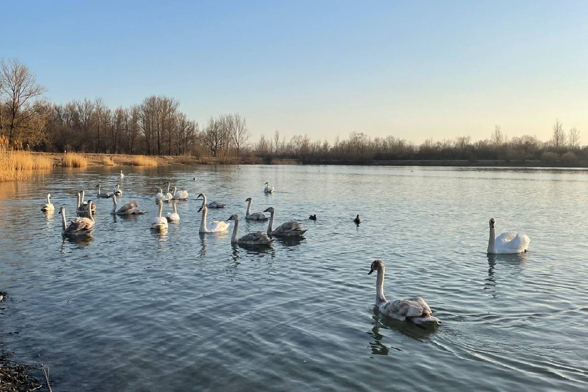 Коломия: куди піти, аби втихомирити нерви і серденько 1