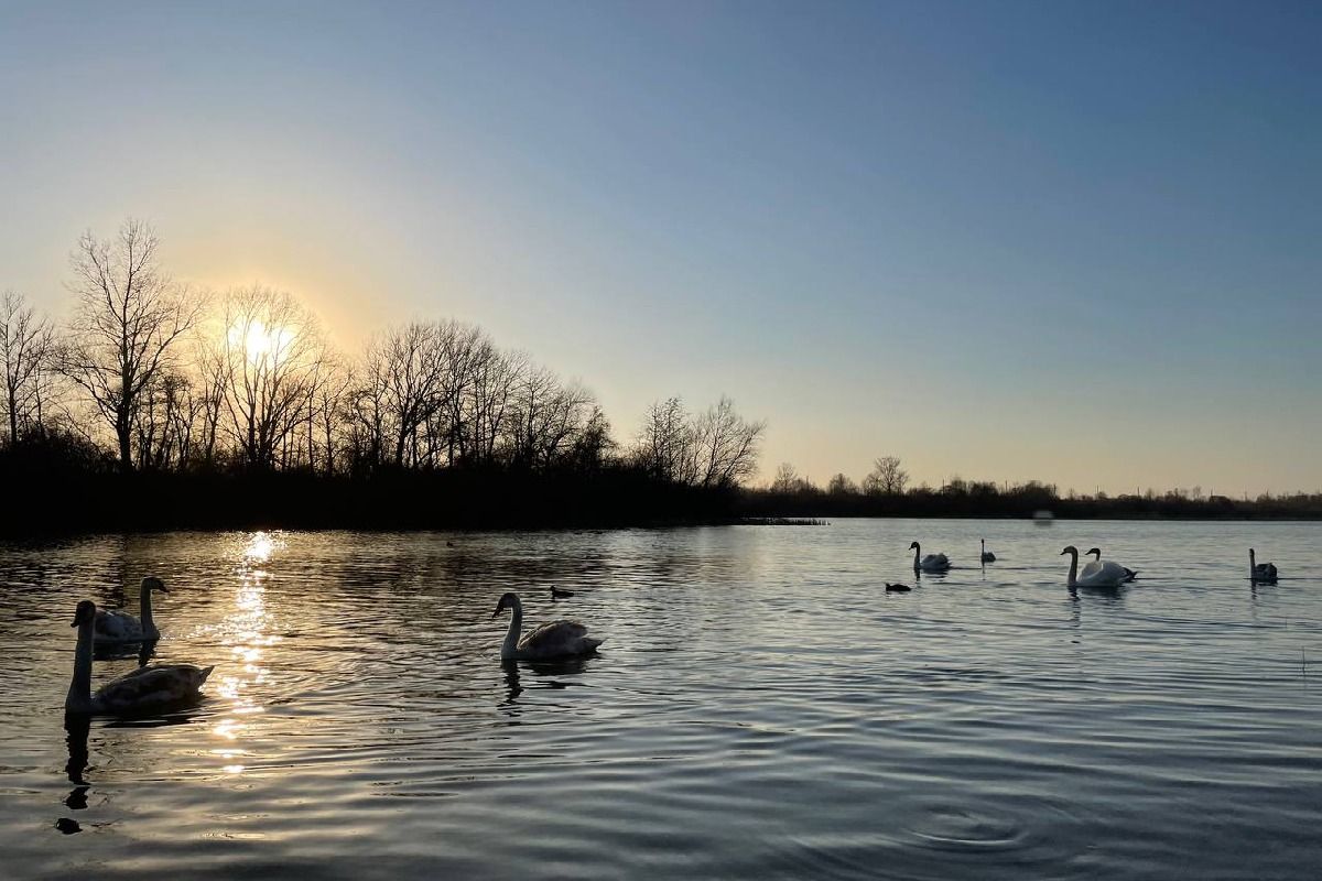 Коломия: куди піти, аби втихомирити нерви і серденько 2