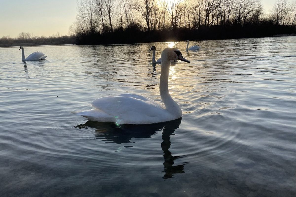 Коломия: куди піти, аби втихомирити нерви і серденько 3