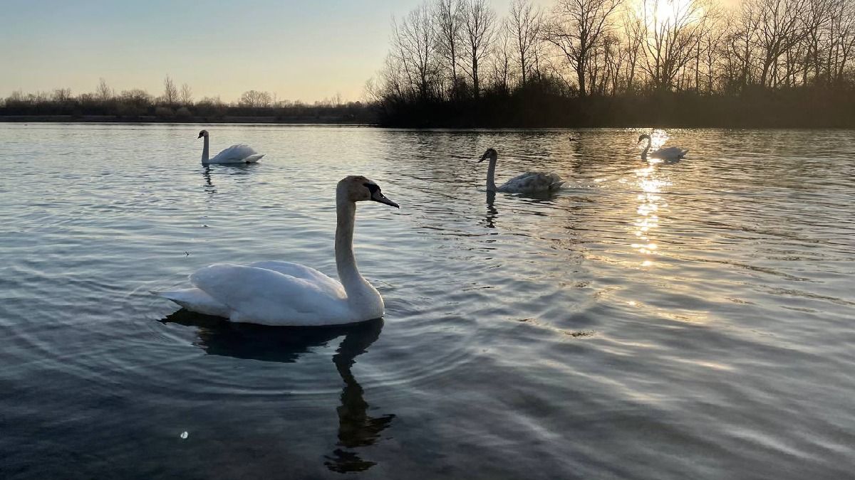 Коломия: куди піти, аби втихомирити нерви і серденько