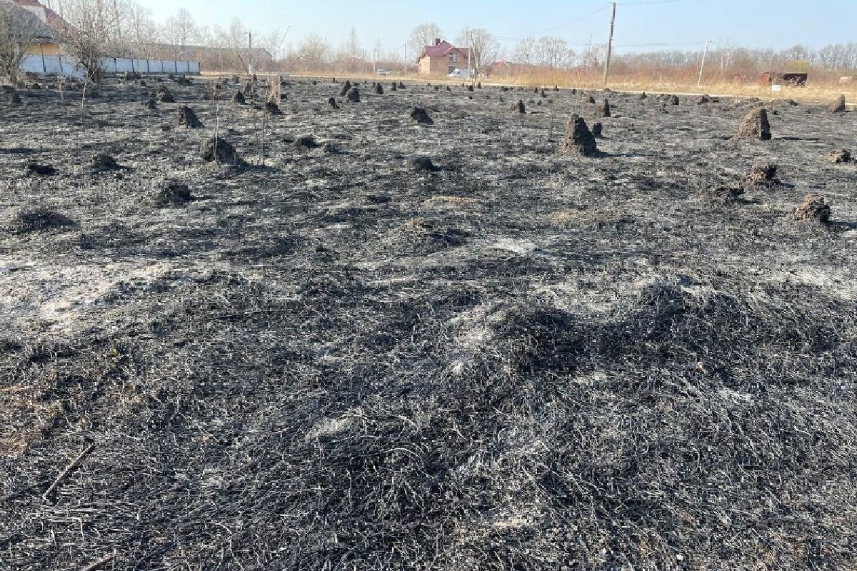 Масштабна пожежа на Петрушевича в Коломиї 2