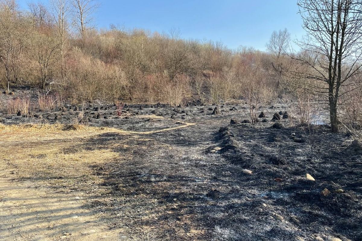 Масштабна пожежа на Петрушевича в Коломиї 4