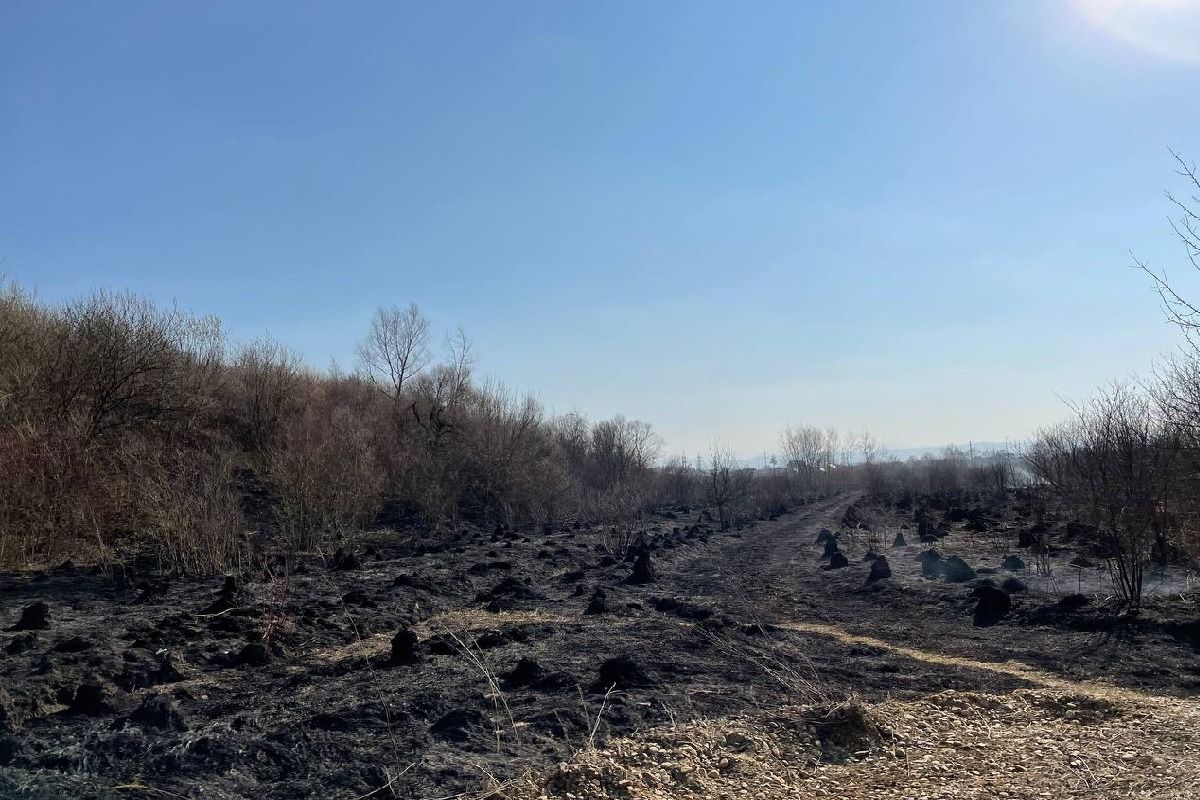 Масштабна пожежа на Петрушевича в Коломиї 5