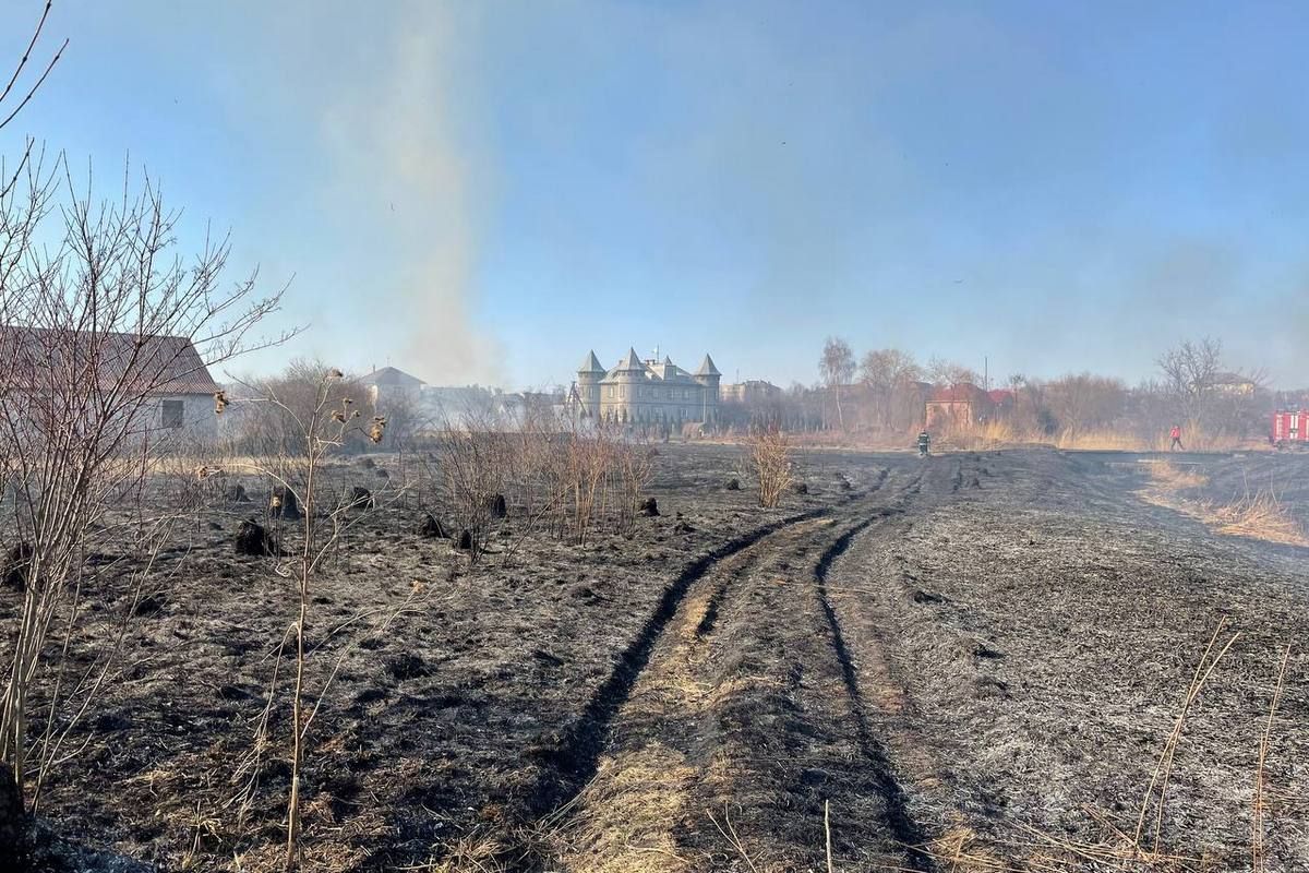 В Коломиї знову пожежа: горить урочище Левади 2