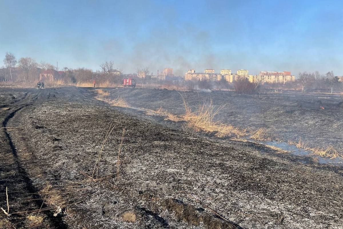 В Коломиї знову пожежа: горить урочище Левади 3
