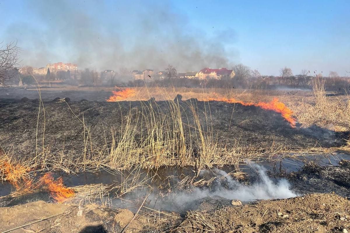 В Коломиї знову пожежа: горить урочище Левади 4