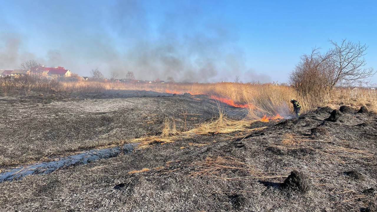 В Коломиї знову пожежа: горить урочище Левади