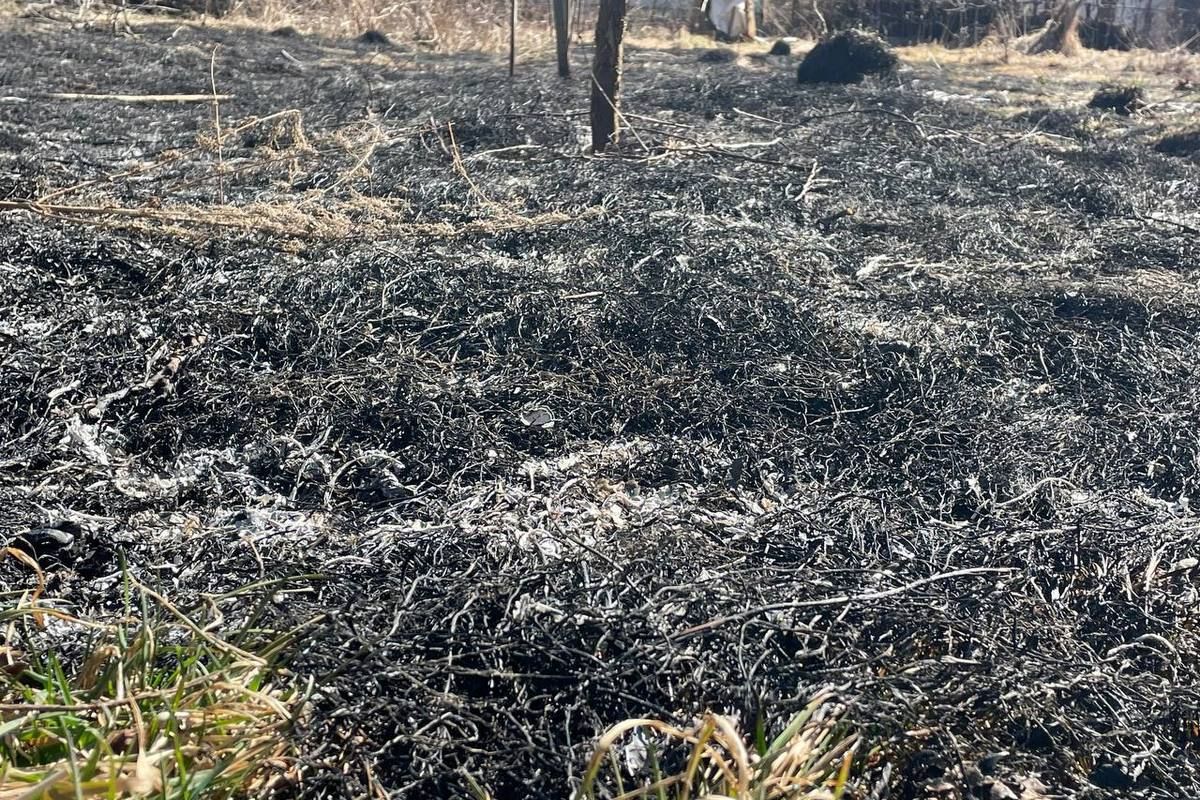 Коломиянка підпалила суху траву і сама стала жертвою пожежі 1