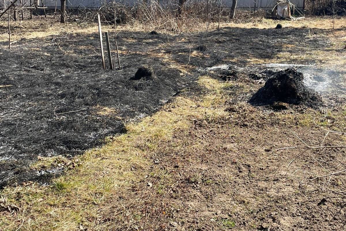 Коломиянка підпалила суху траву і сама стала жертвою пожежі 2