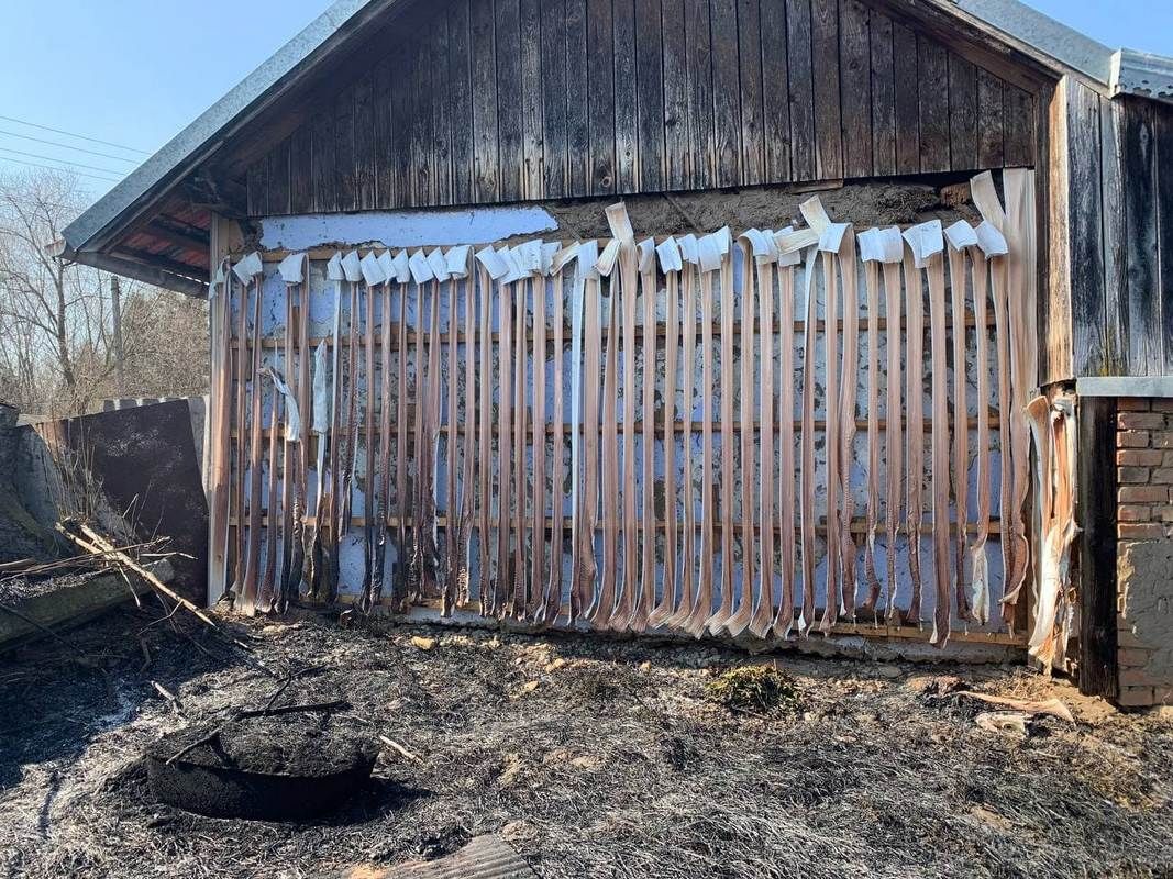 Через паління сухої трави у Коломиї ще одна масштабна пожежа 4