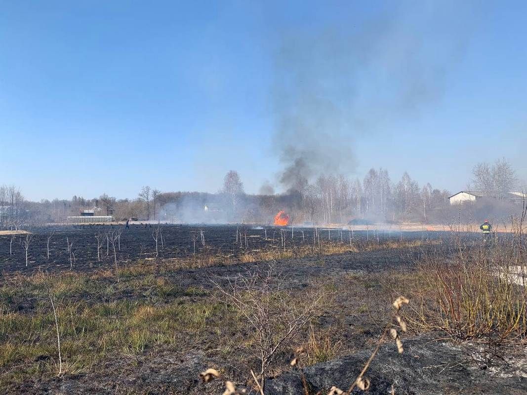 Через паління сухої трави у Коломиї ще одна масштабна пожежа 2