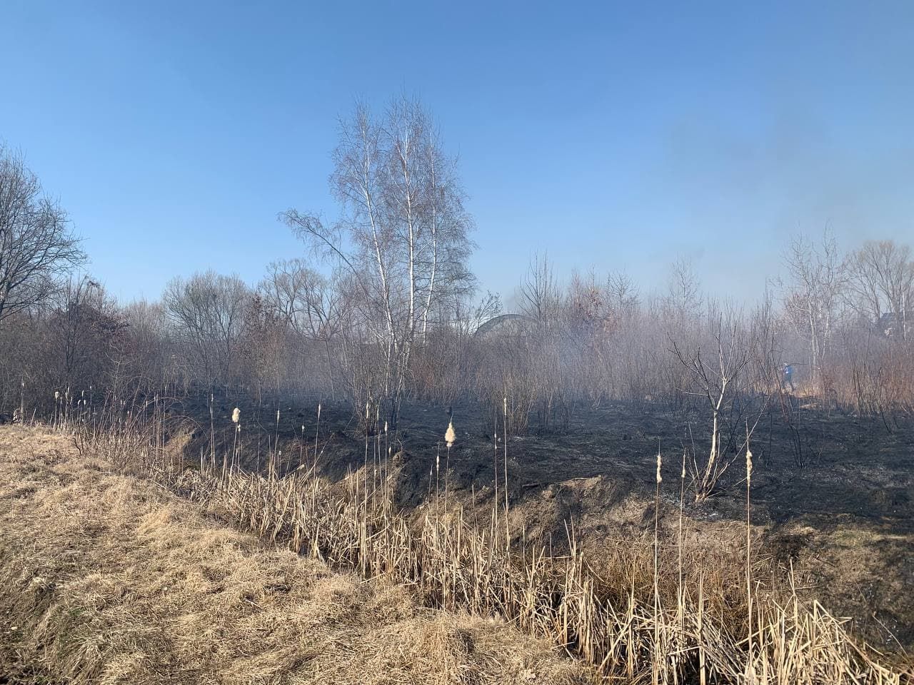 Через паління сухої трави у Коломиї ще одна масштабна пожежа 3