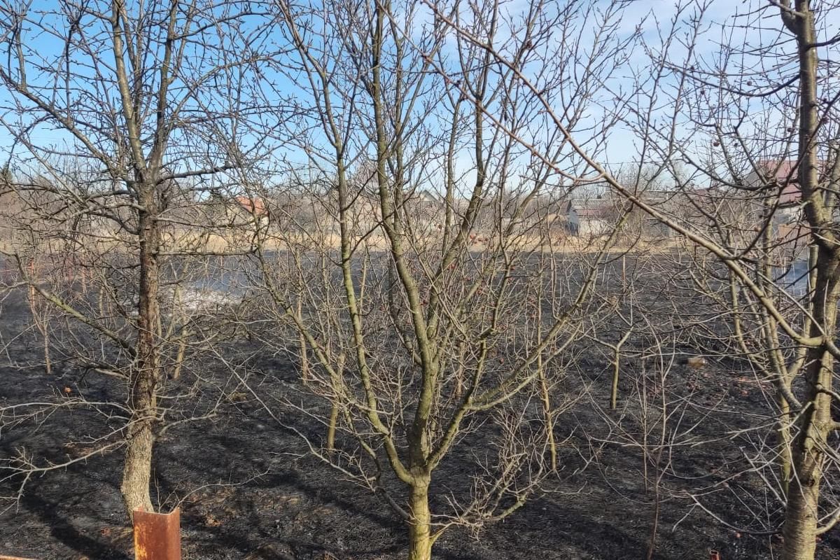 У двох садово-городніх господарствах Коломиї сталися пожежі 3