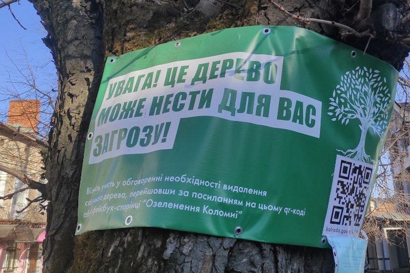 Зрізка дерев у Коломиї - це частина програми озеленення? 1