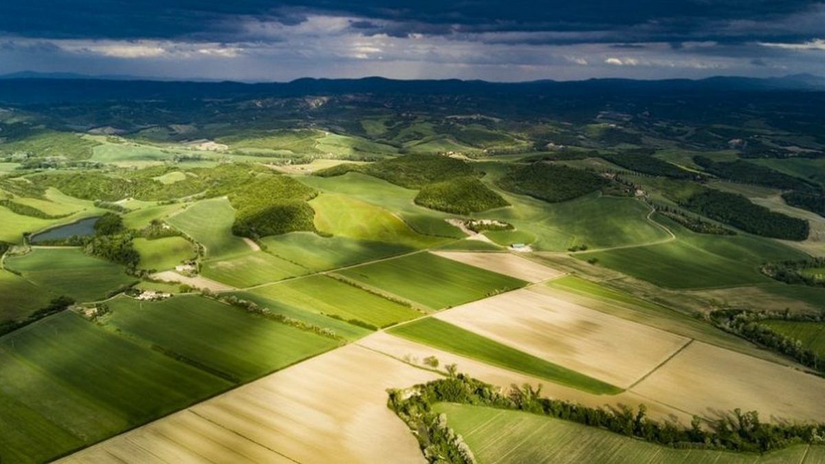 Сади перемоги: уряд закликає фермерів активізуватися, щоб уникнути голоду в Україні