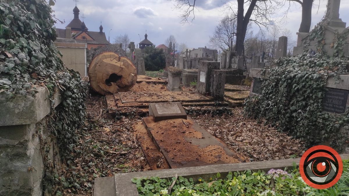 Мертві не скаржаться: фоторепортаж з Монастирка в Коломиї 12