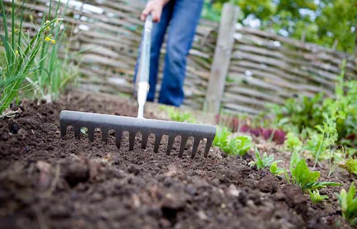 Що садити у травні 1