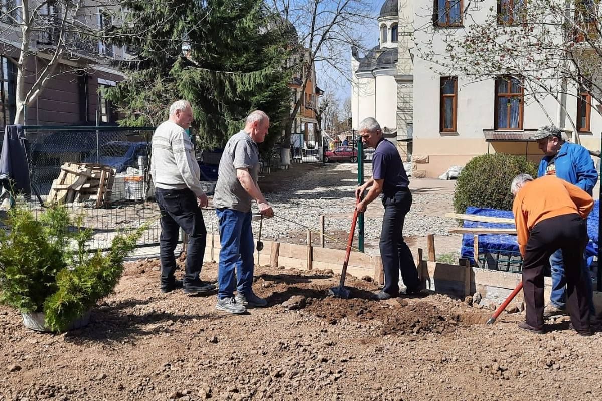 Колектив ліцею №9 в Коломиї висадили дерева, газони і причепурили шкільне подвір'я 2