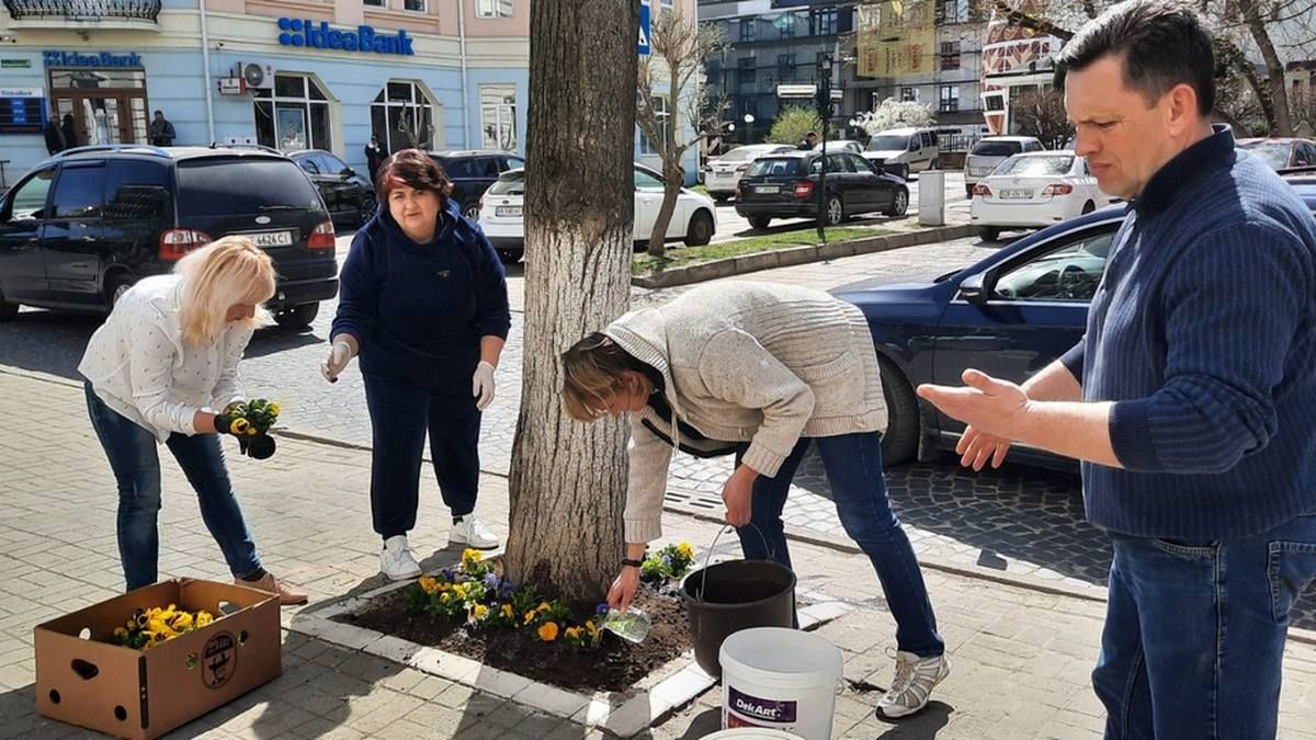 Колектив ліцею №9 в Коломиї висадили дерева, газони і причепурили шкільне подвір'я 4