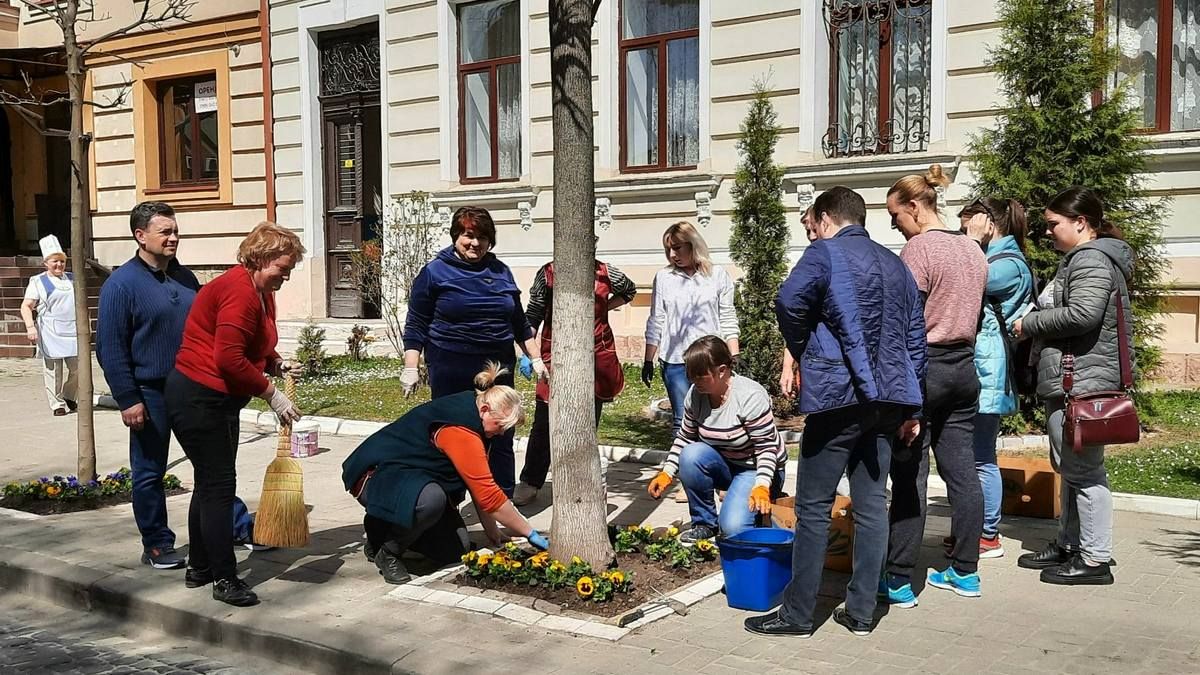 Колектив ліцею №9 в Коломиї висадили дерева, газони і причепурили шкільне подвір'я