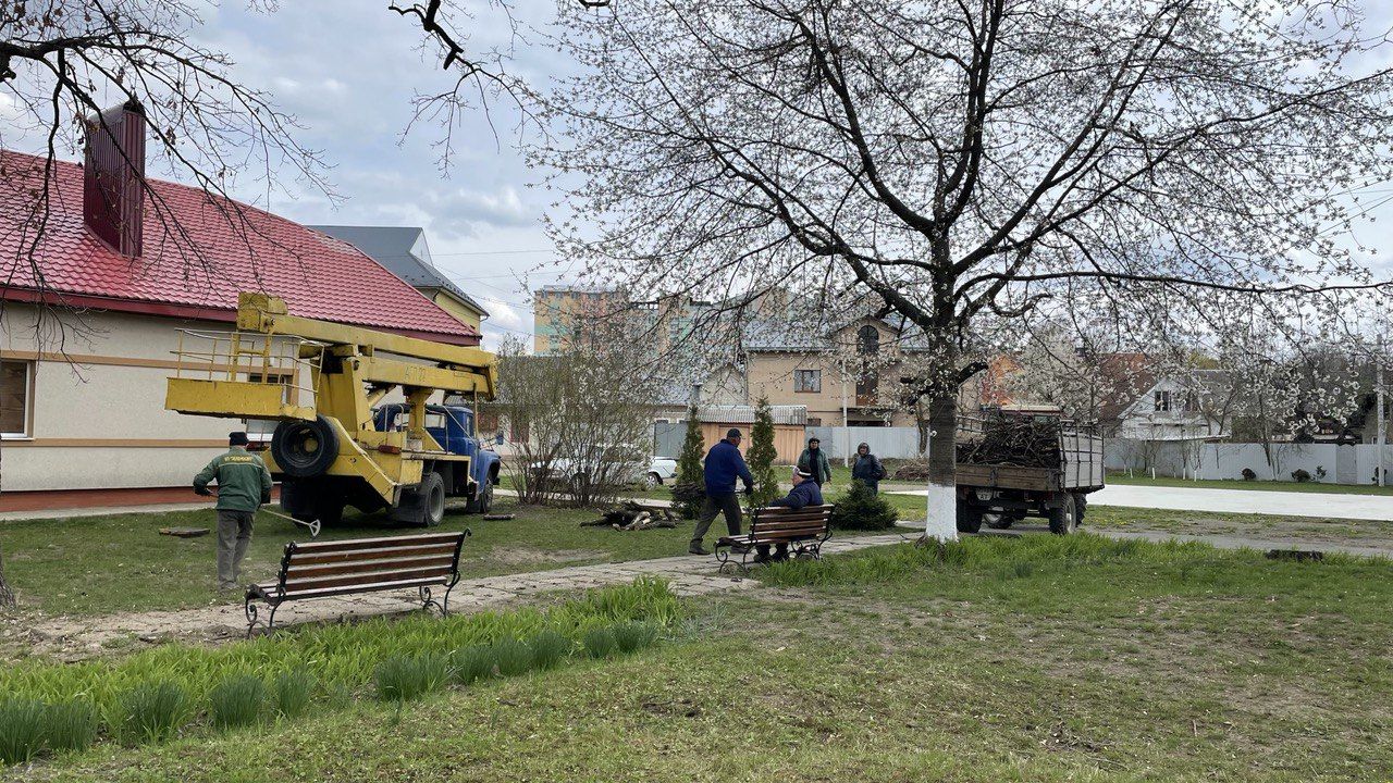 Дуби, туї та квіти: у Коломиї облагороджують територію 10-го ліцею