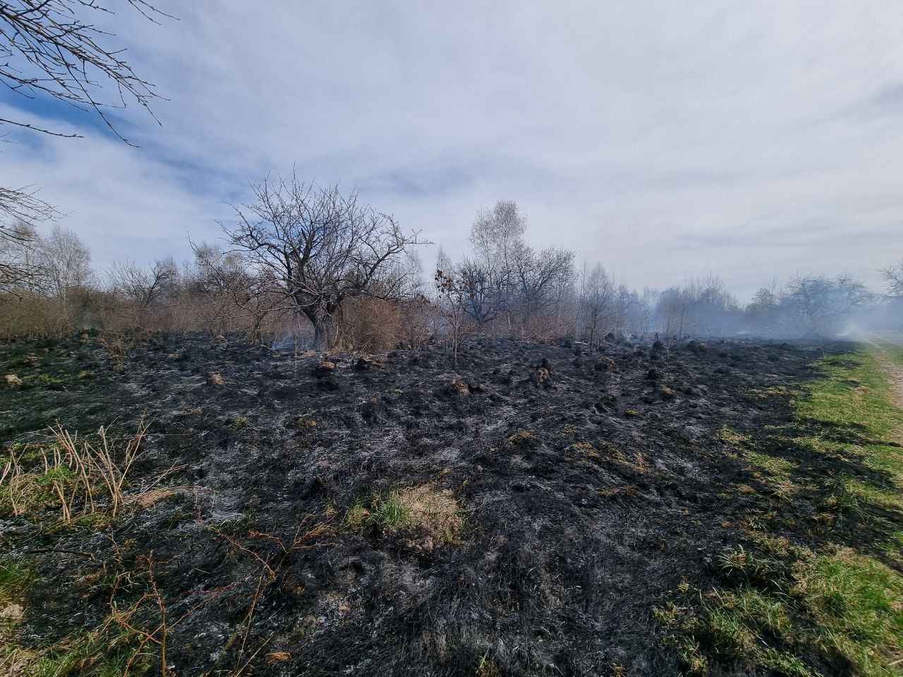 14 квітня: масові пожежі на Коломийщині | Відео 1