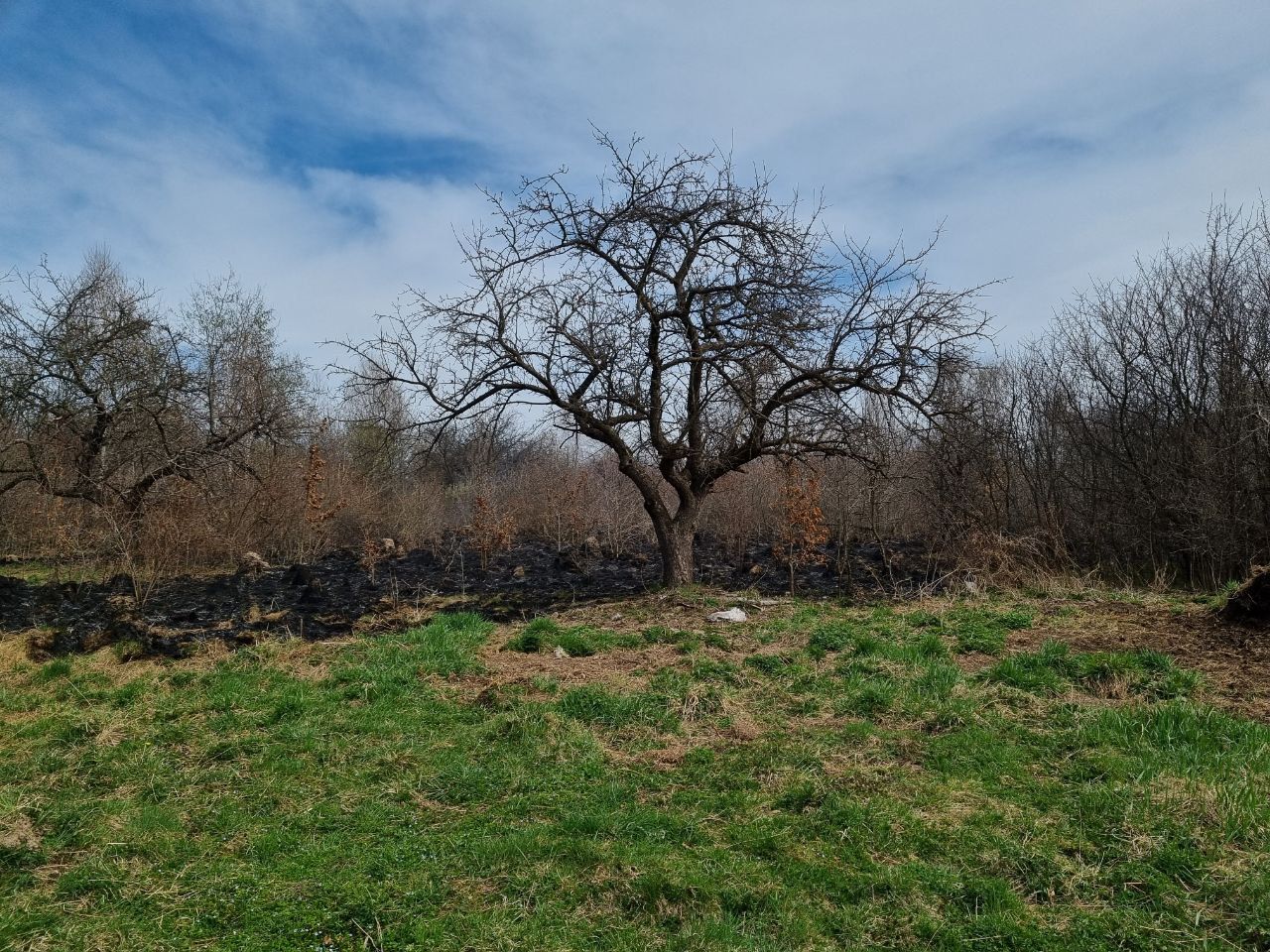 14 квітня: масові пожежі на Коломийщині | Відео 2