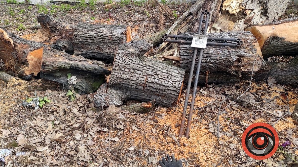 Мертві не скаржаться: фоторепортаж з Монастирка в Коломиї 15