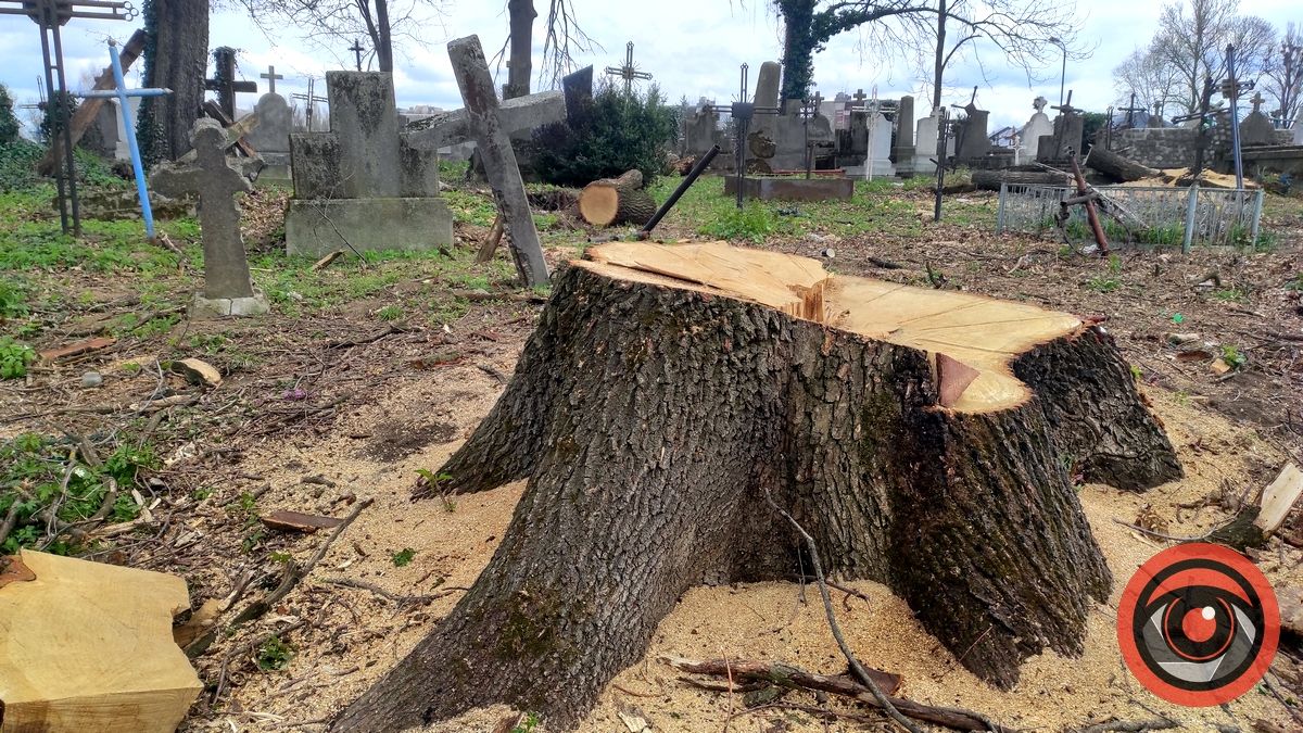 Мертві не скаржаться: фоторепортаж з Монастирка в Коломиї 20