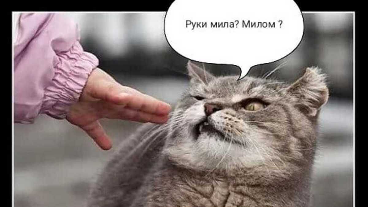 Всього декілька мешканців Коломийщини хворіють на ковід