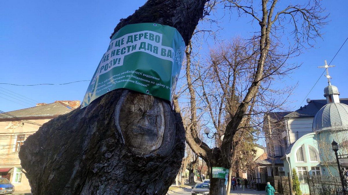Гра в демократію або ''йой най буде". Як приймаються рішення про зрізку дерев в Коломиї 6