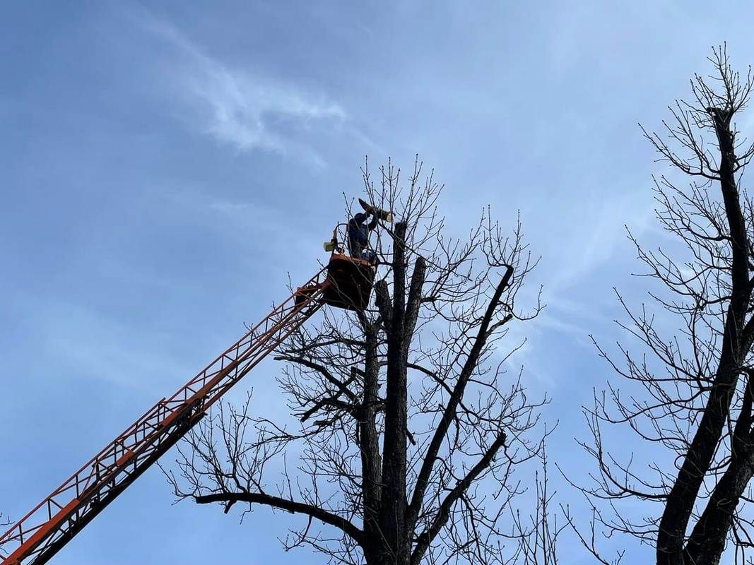 У Коломиї перекрили частину бульвару Лесі Українки 3