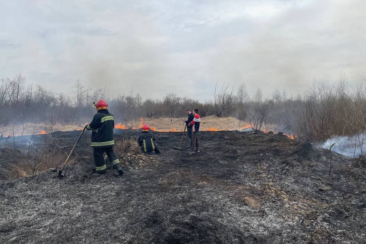 Масштабна пожежа сухої трави в Коломиї. Поля перетворились на згарища 1