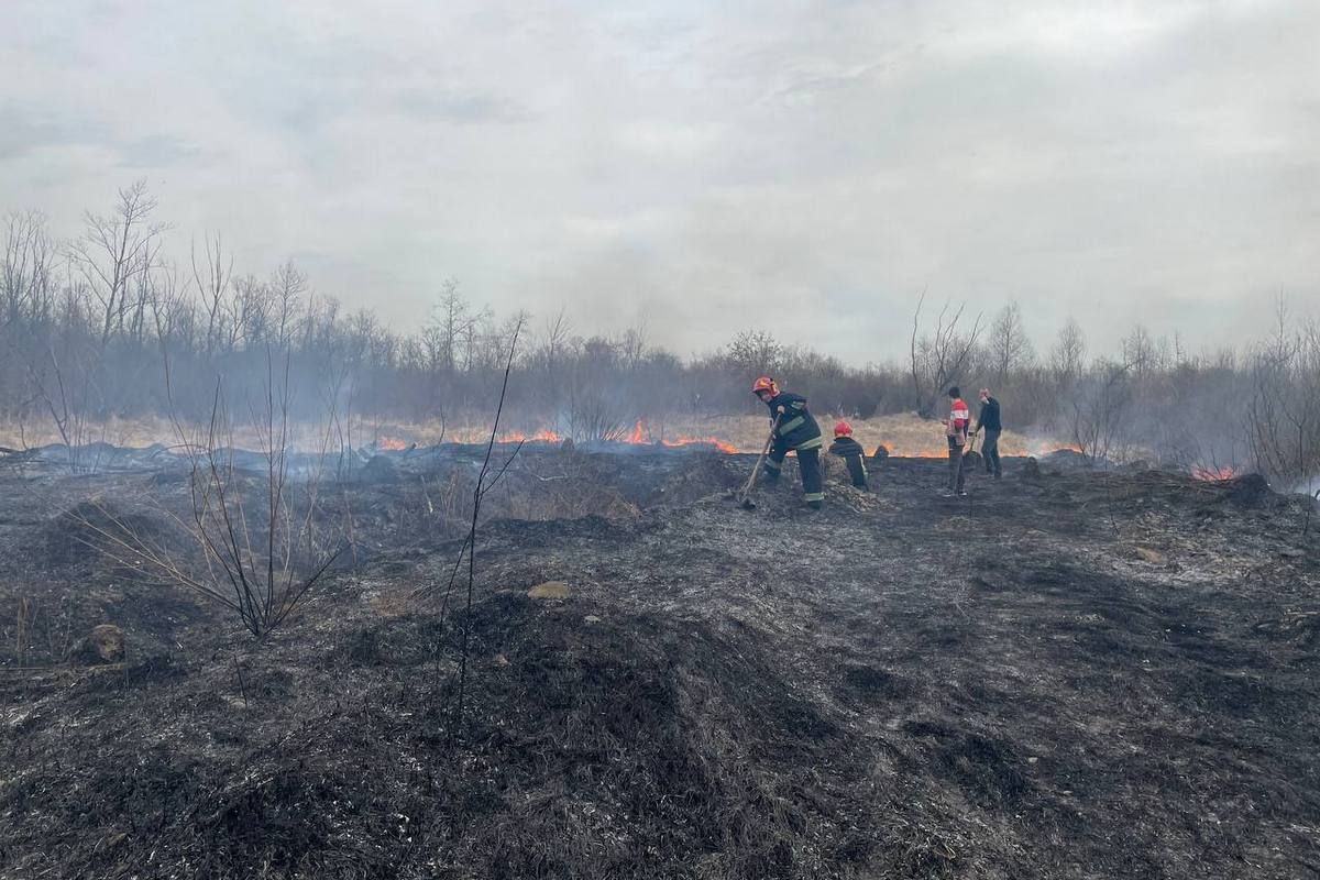 Масштабна пожежа сухої трави в Коломиї. Поля перетворились на згарища 3