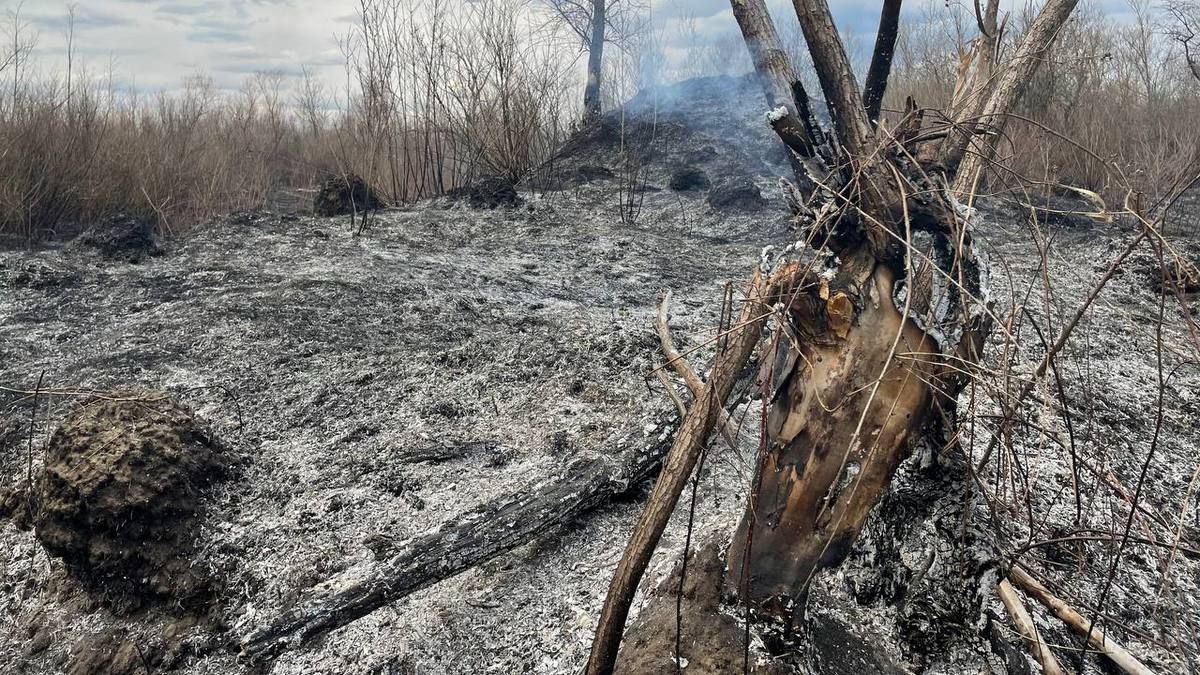 Масштабна пожежа сухої трави в Коломиї. Поля перетворились на згарища