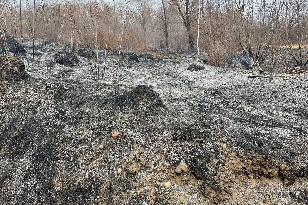 Масштабна пожежа сухої трави в Коломиї. Поля перетворились на згарища 2