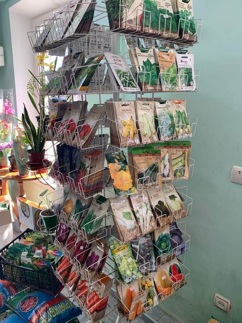 Де у Коломиї купити насіння | добірка магазинів 5