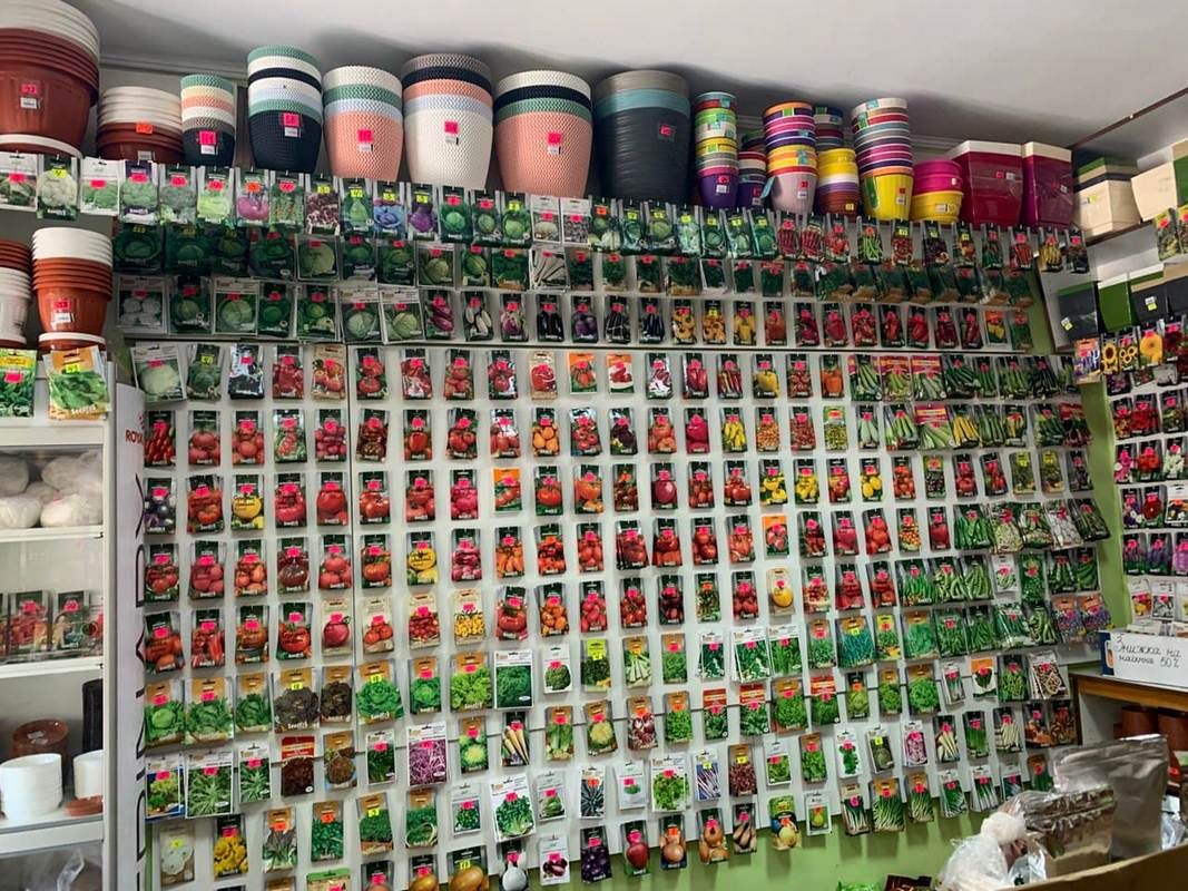 Де у Коломиї купити насіння | добірка магазинів 1