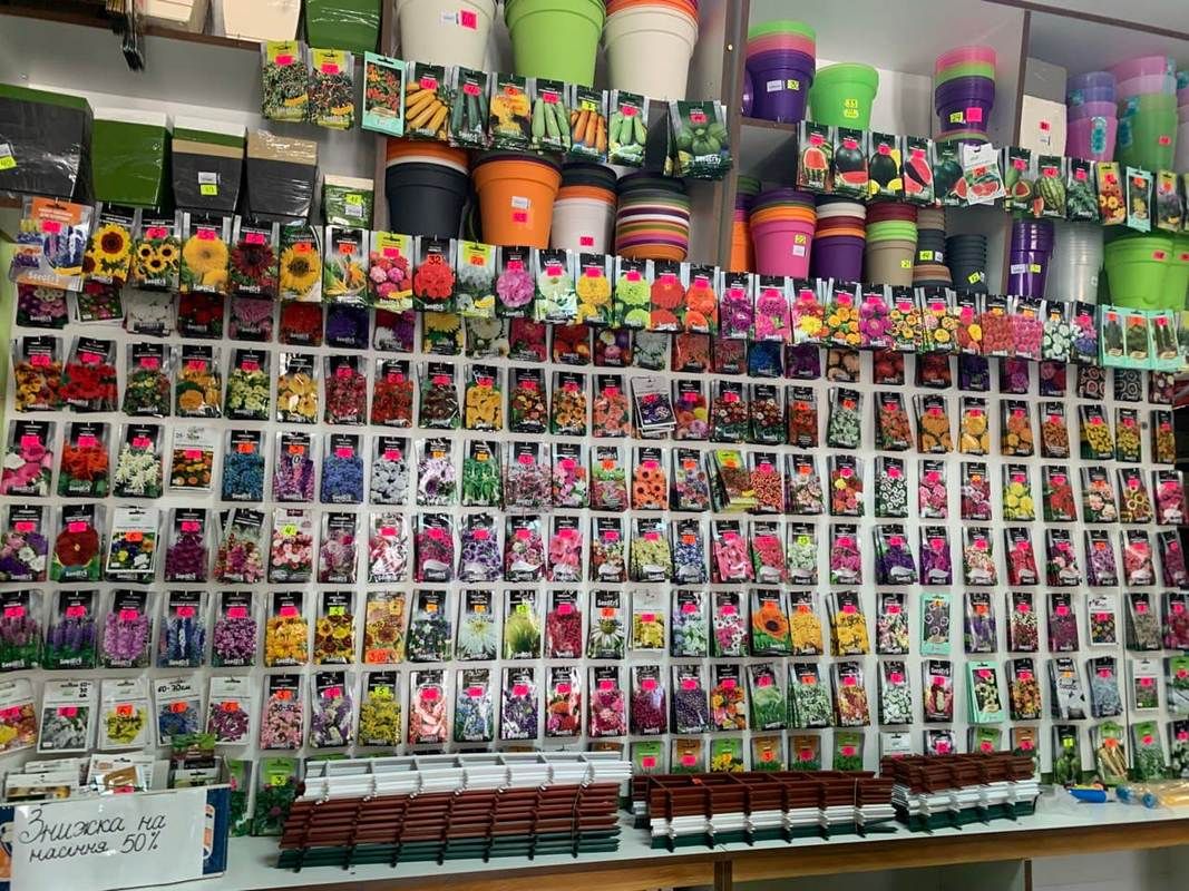 Де у Коломиї купити насіння | добірка магазинів 2