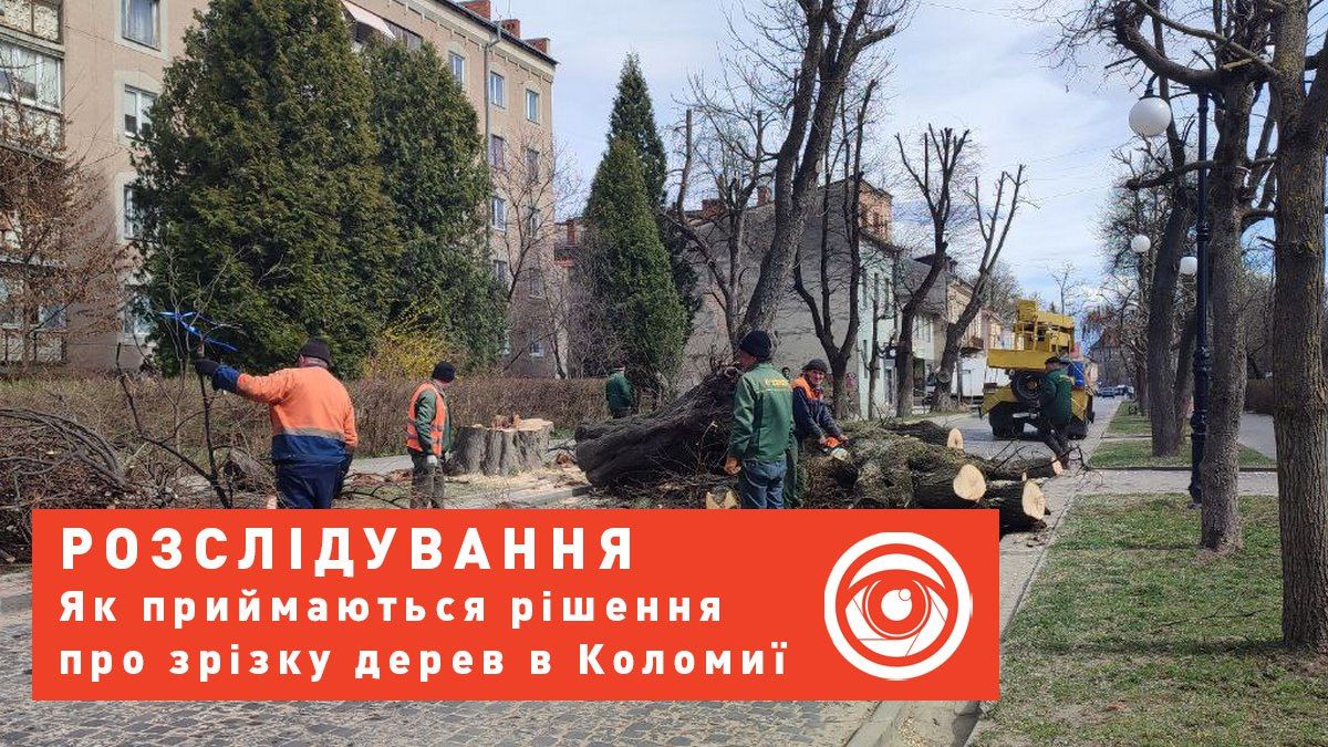 Гра в демократію або ''йой най буде". Як приймаються рішення про зрізку дерев в Коломиї