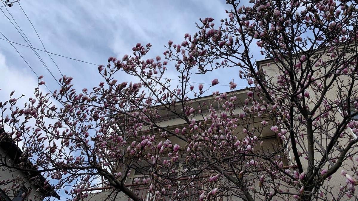 14 квітня: прогноз погоди у Коломиї