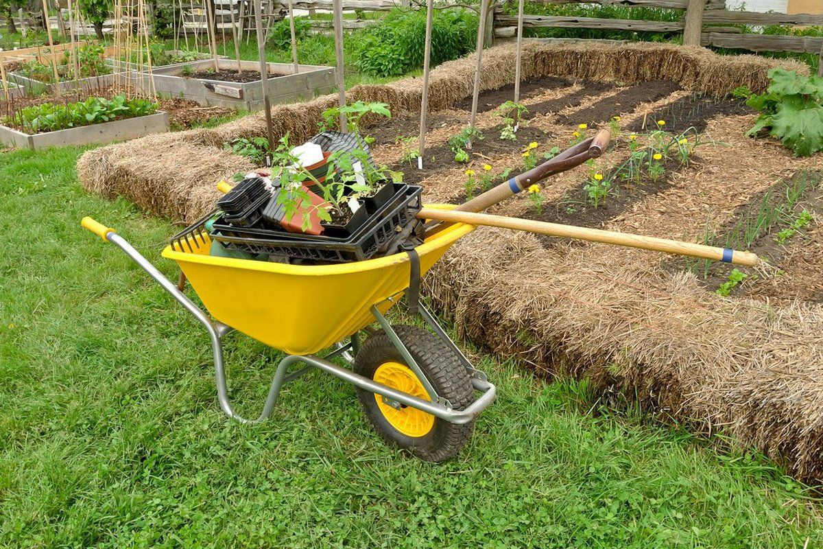 Коли починати садити городину? 2