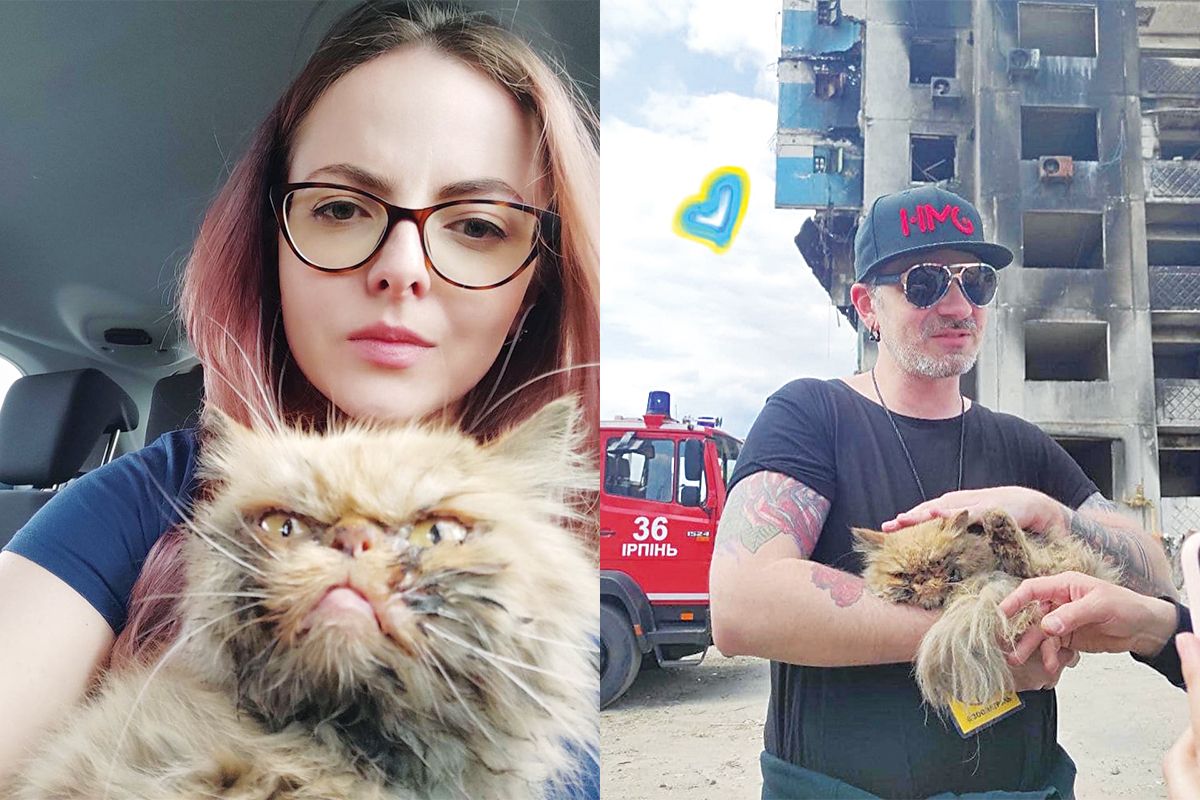 Суворий котисько з Бородянки став символом української незламності 2