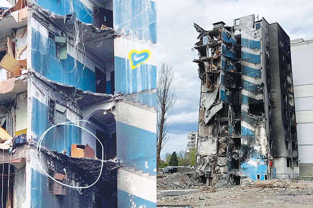 Суворий котисько з Бородянки став символом української незламності 1