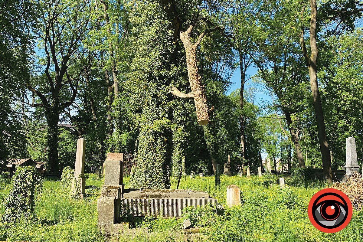 Польське кладовище в Коломиї за рік після скандалу 5