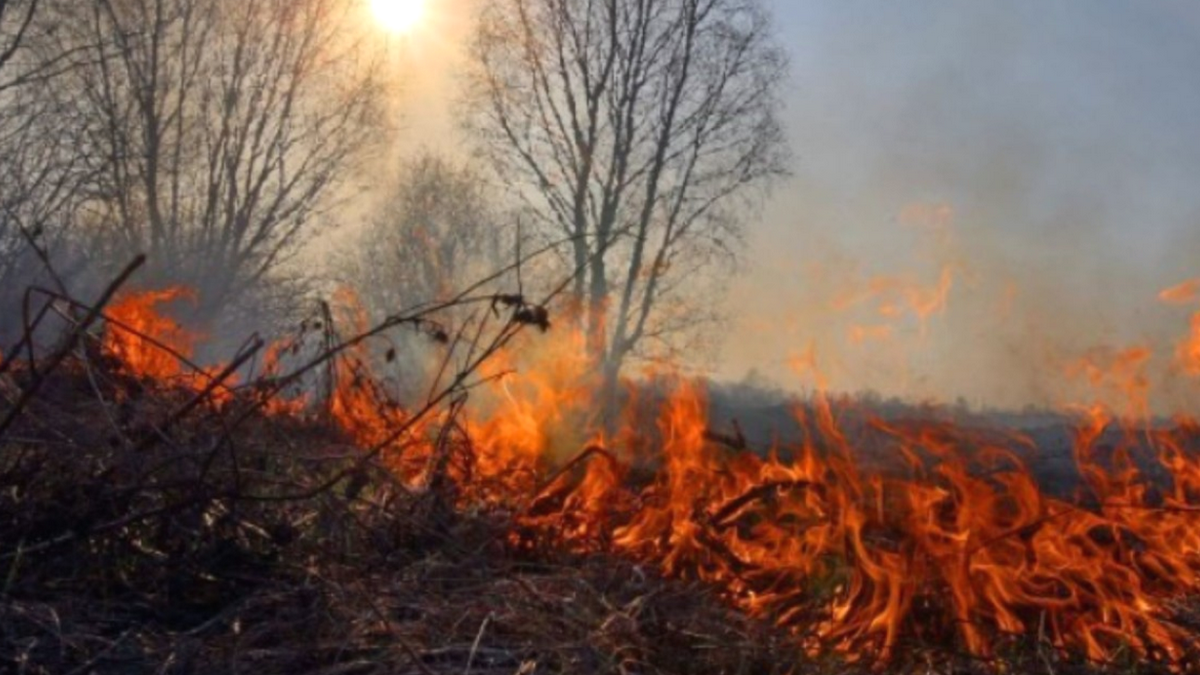 Цими вихідними на Івано-Франківщині - помаранчевий рівень пожежної небезпеки